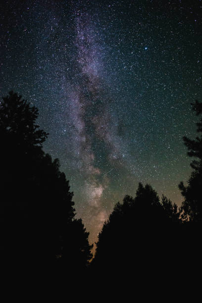 istock Night sky with milky way over the forest summer night 1172572666