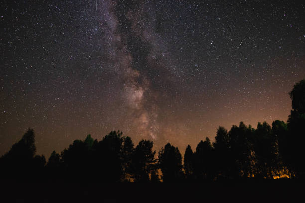 istock Night sky with milky way over the forest summer night 1172574571