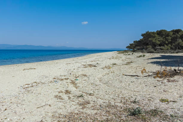 istock Lagoon Beach at Kassandra Peninsula, Chalkidiki, Central Macedonia, Greece 1172576722