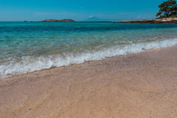 istock Sea wave on the sandy beach 1172577230