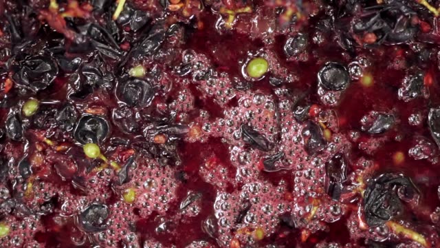 crushed grapes closeup manufacture of wine