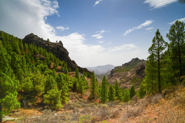 Mountain landscape of Gran Canaria, Spain