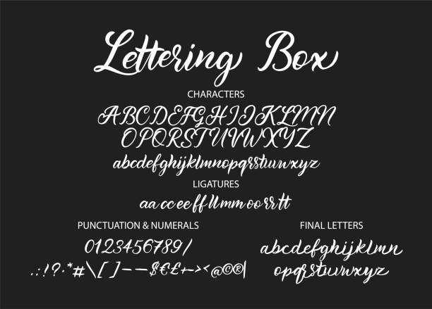 ilustrações de stock, clip art, desenhos animados e ícones de hand drawn vector alphabet with letters, numbers, symbols. - calligraphy