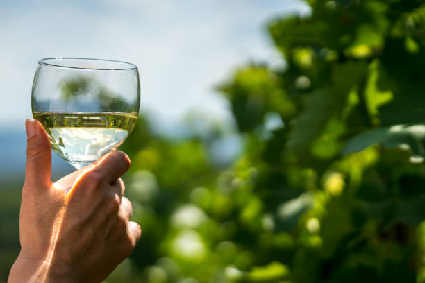 istock Glass of wine among vines 1172581851