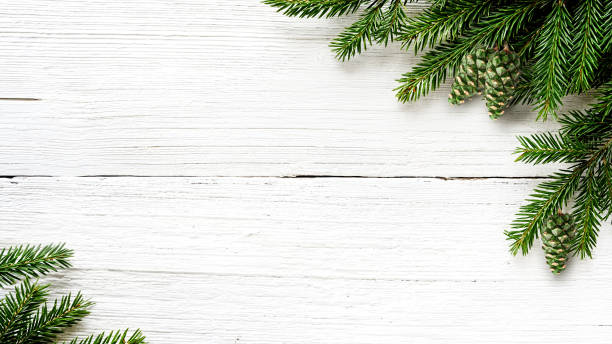 Christmas tree branches and green cones background Christmas Fir tree branches and green cones on white wooden rustic background. evergreen plant stock pictures, royalty-free photos & images