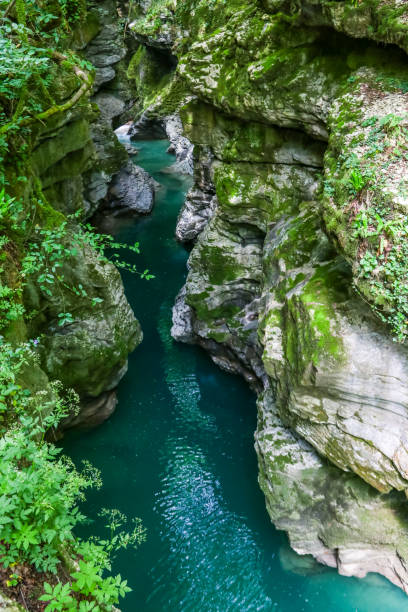 istock Martvili canyon in Georgia 1172587417