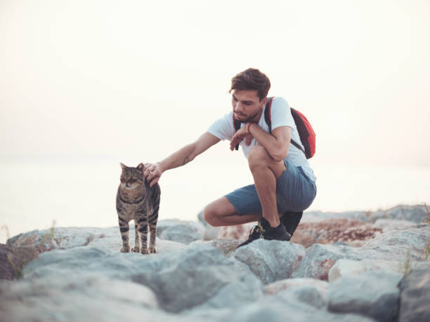 istock Handsome young man with cute cat outdoors 1172589936