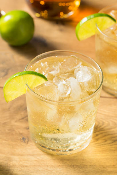 istock Homemade Rum and Tonic Cocktail 1172592465