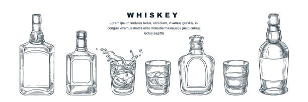 ilustraciones, imágenes clip art, dibujos animados e iconos de stock de botellas de whisky y vidrio, ilustración de boceto vectorial. bebidas de alcohol escocés, brandy o licor. elementos de diseño del menú de la barra - bottle