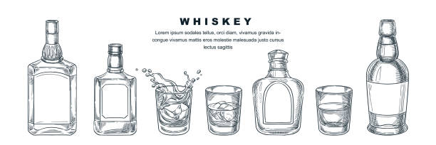 Whiskey bottles and glass, vector sketch illustration. Scotch, brandy or liquor alcohol drinks. Bar menu design elements Whiskey bottles and glass with beverage and ice, vector sketch illustration. Scotch, brandy or liquor alcohol drinks. Bar menu design elements, isolated on white background. bourbon whiskey stock illustrations