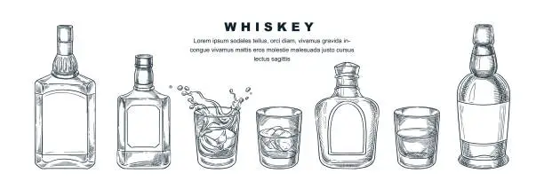 Vector illustration of Whiskey bottles and glass, vector sketch illustration. Scotch, brandy or liquor alcohol drinks. Bar menu design elements