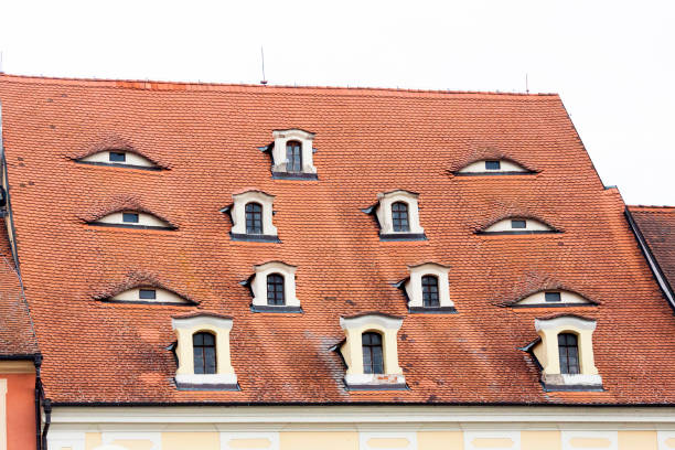 istock Old house rooftop with attics, background with copy space 1172595062