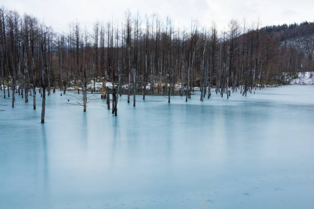 istock Blue pond in early winter Biei 1172606694