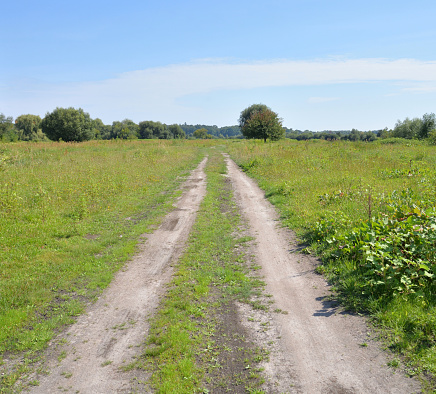 Rural road in the field at sunny summer day in Belarusian Polesie.
