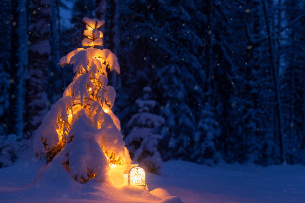 istock Christmas tree in the fairy forest. Christmas forest 1172608801