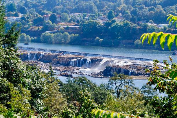 willamette falls - west linn imagens e fotografias de stock