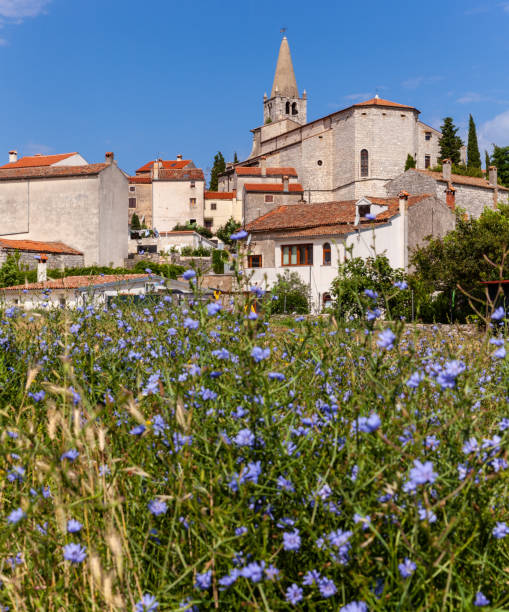 istock View of Valle - Bale in Istria. Croatia 1172610079