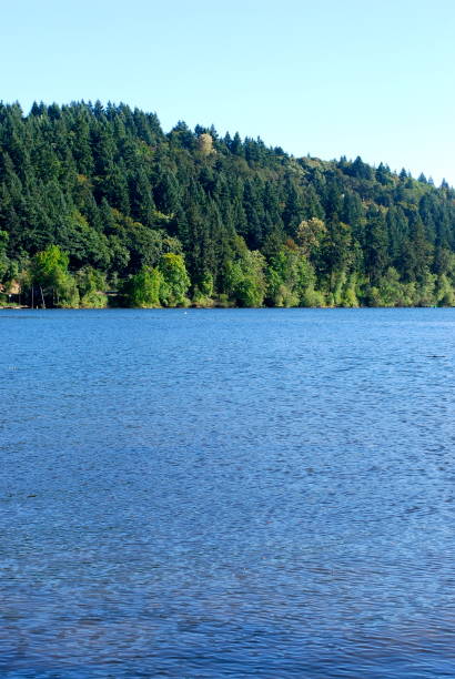 confluencia del río willamette del río tualatin - west linn fotografías e imágenes de stock