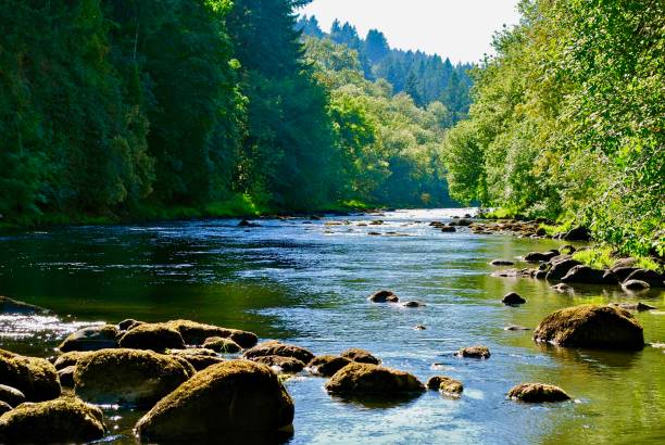 río tualatin - west linn fotografías e imágenes de stock