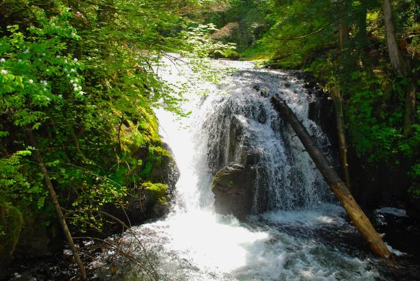 istock Small waterfall on the Multnomah Creek trail 1172611325