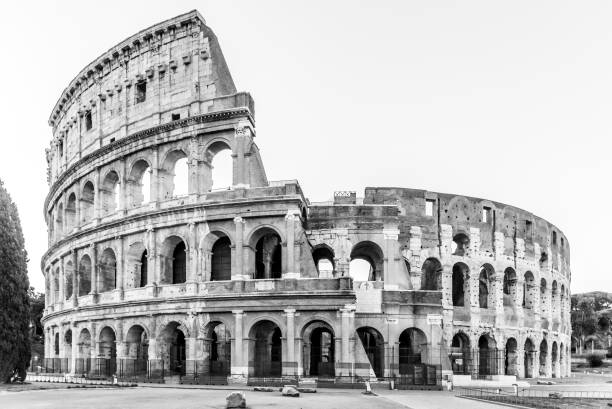 colosseo, o colosseo. alba mattutina all'enorme anfiteatro romano, roma, italia. - coliseum rome flavian roman foto e immagini stock