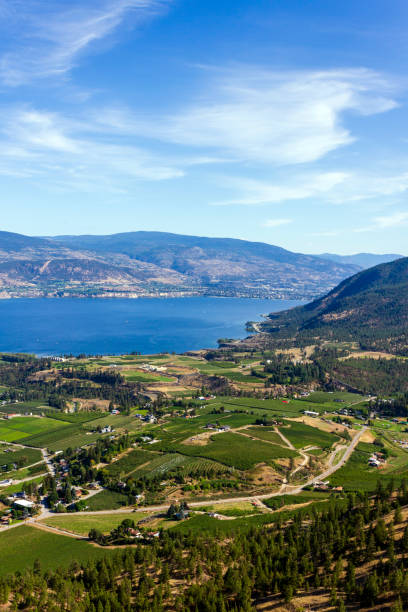 서머랜드 오카나간 호수 - okanagan penticton lake okanagan lake 뉴스 사진 이미지