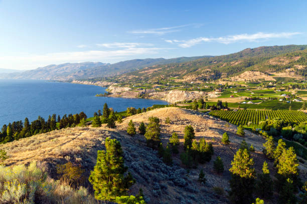 istock Winery Vineyard Okanagan Valley Penticton 1172615686