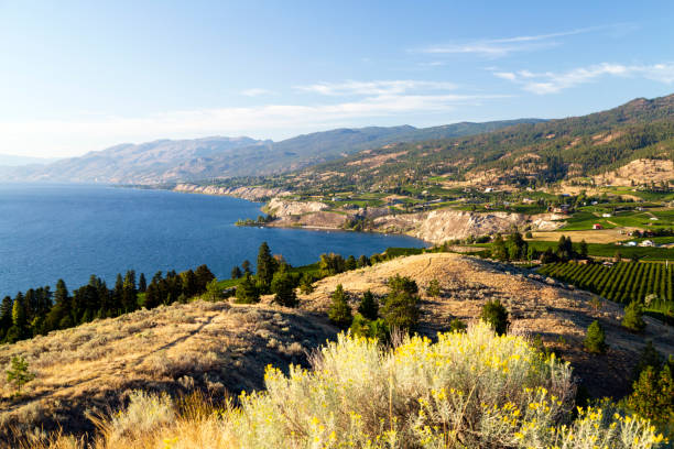 istock Winery Vineyard Okanagan Valley Penticton 1172616002