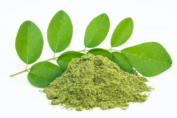 Moringa powder Moringa powder, Moringa oleifera on white background raw moringa green color stock pictures, royalty-free photos & images