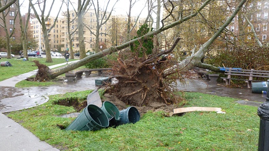 Hurricane Sandy photo
