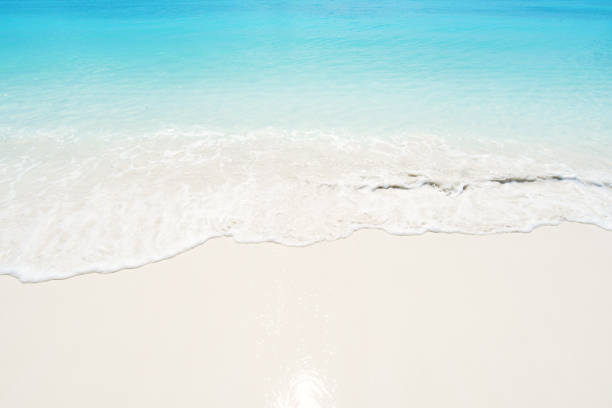 istock Soft wave of blue ocean on sandy beach 1172618343
