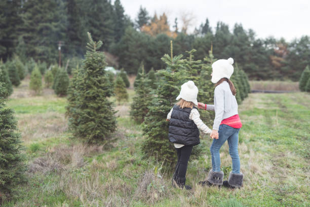 istock Two sisters at a Christmas tree farm 1172619527