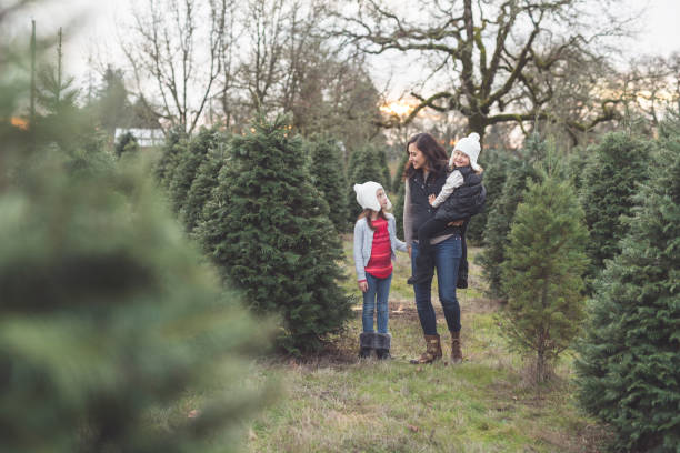 istock Mom walks through a Christmas tree farm with her daughters 1172619528