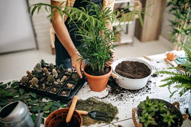 istock World of green color 1172623914