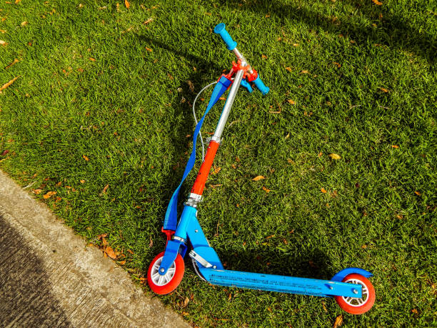 istock Children skateboard on the grass 1172625899