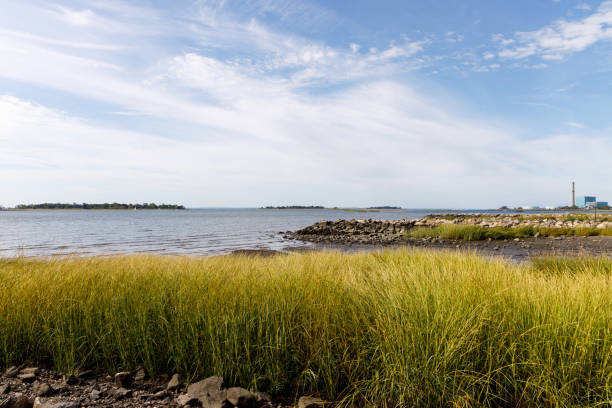 Praia de Long Island Sound - foto de acervo