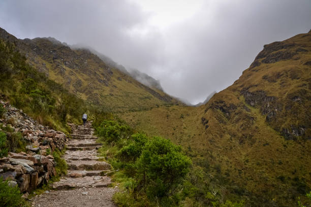 istock Inca stairs leading through the Inca trail 1172627418