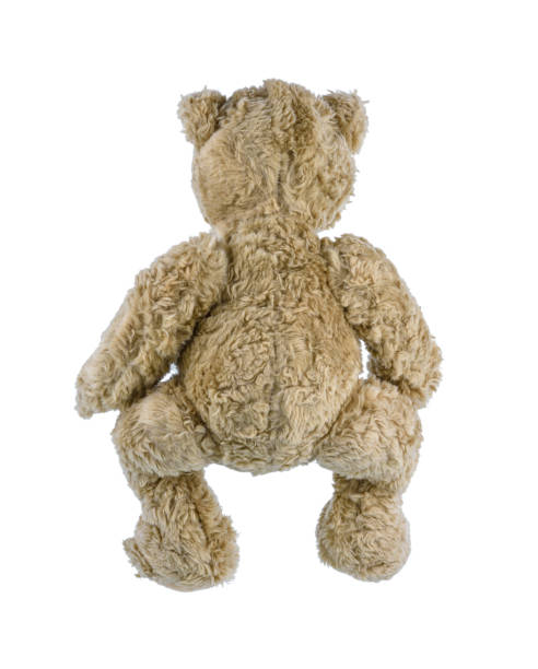 istock Cute brown teddy bear isolated on white background 1172631603