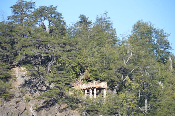 istock Radal Siete Tazas National Park, Chile. 1172632983