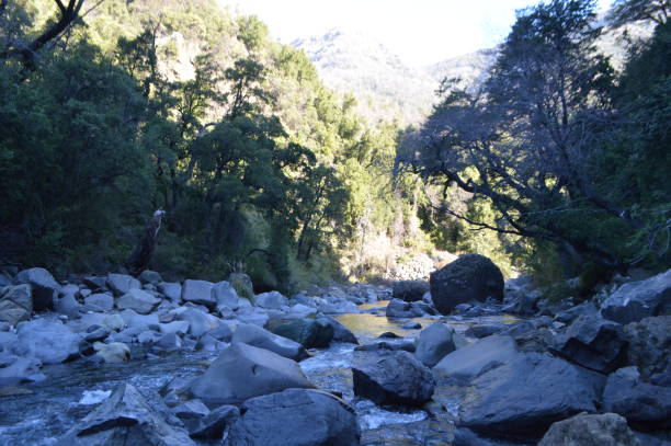 istock Radal Siete Tazas National Park, Chile. 1172633766