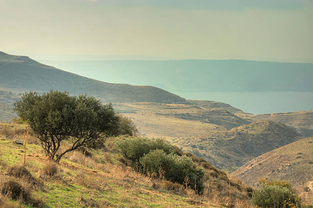 Tiberius from Galilee View on lake Tiberius from Northern Galilee, Israel sea of galilee stock pictures, royalty-free photos & images