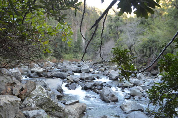 istock Radal Siete Tazas National Park, Chile. 1172634126