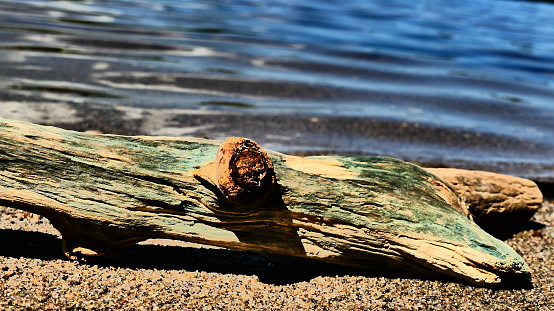 Wood with green reflections at the water's edge on the beach