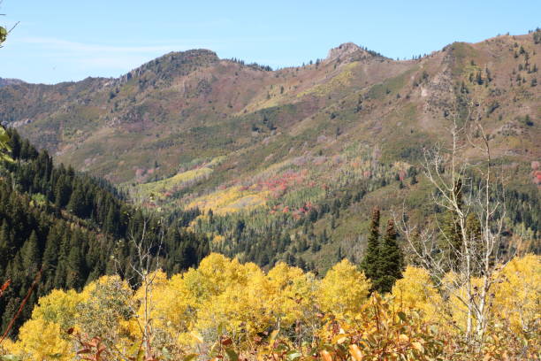 istock Wasatch Mountain scenery in the Autumn 1172638234