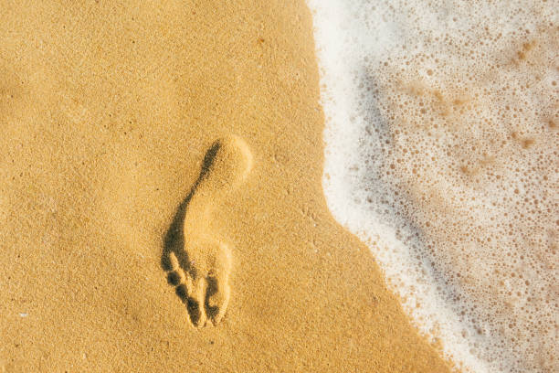 istock foot print on the sand 1172642980