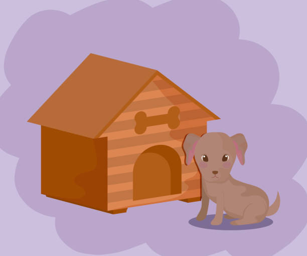 istock cute puppy dog animal baby with house 1172644962