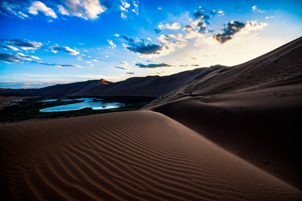 istock A Blue Gem in the Desert 1172645765