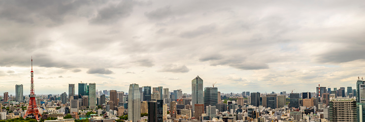 Elevated view of Tokyo Tower and the City Skyline