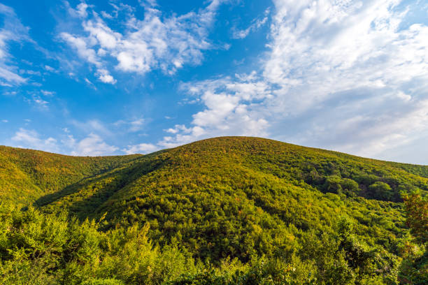Mountain is covered with dense green forest and blue sky with clouds