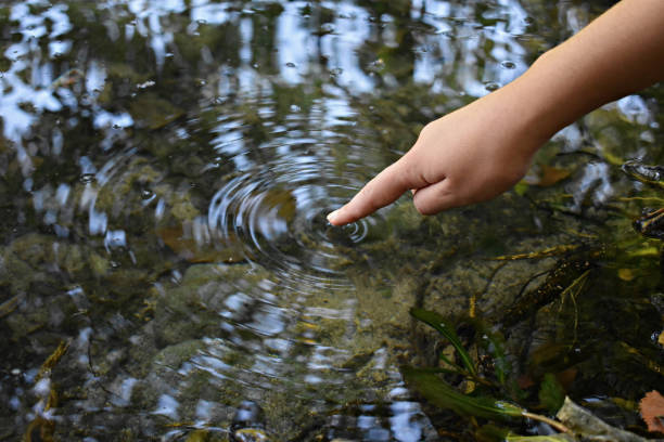 istock Closeup of woman finger softly touching river surface 1172650574
